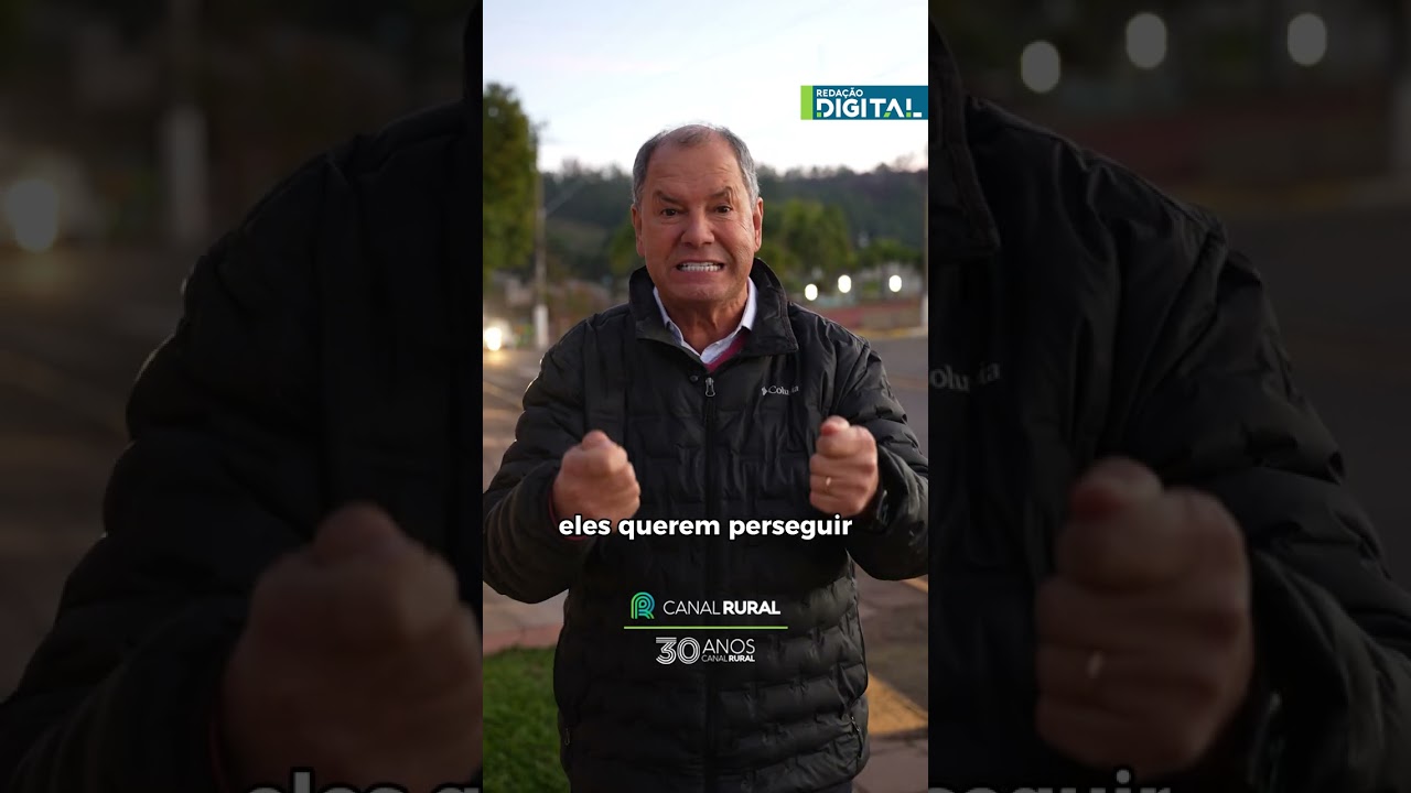 Crescimento da população de javalis gera alerta