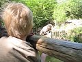 Met opa on de dierentuin
