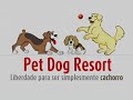 vt ully pet dog resort vt ully pet dog resort