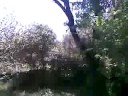 le petit paradis sur terre