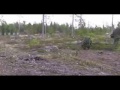 Spaningsplutonen I19 - Part II