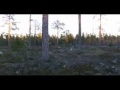 Thumbnail #3