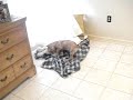 MOV01179