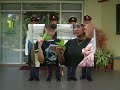tpss