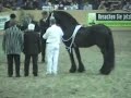 Leffert preferent, huldiging HK 2006