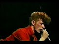 The Polecats - Rockabilly Guy