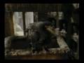 videos de One Missed Call (Owl) | Harry Potter