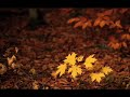 hayden - you are all i have