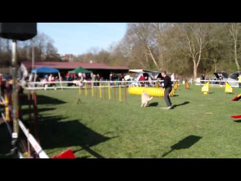 MAMMUT KOMMUNIKATION - 2. Platz - 1 VW Zeit 44,31 s.