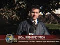 Bird poops in reporter's mouth on live TV. (VIDEO)