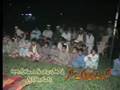 Pakhto Ningarhar Sandaree (Mirwes )
