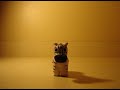Animation Project