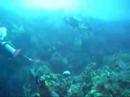 Cayman Brac 2006 Part 2 Cayman Brac 2006 Part 2