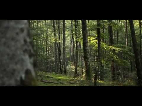 Pandora Studio - Pandora Studio Audio Visual es una marca dedicada al desarrollo, solución y producción de proyectos audiovisuales. Ofrecemos un servicio único y profesional ...