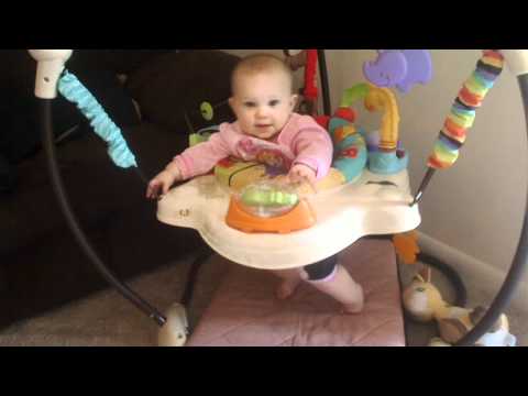 Luv U Zoo Jumperoo by Fisher Price