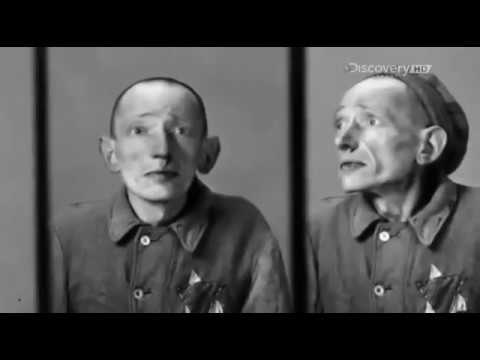 Освенцим