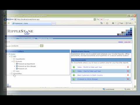 This video shows how easy it is for a standard user to use Ripplestone. It show how to locate and run a Crystal Report, how to search for a report, how to add a report to the favorites and how to view a scheduled report