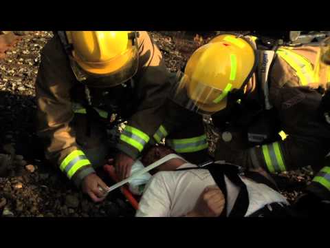 how to fertilize mock orange