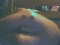Wobble Frog