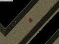UO Capture the flag