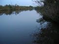Beginning a zander campaign on the River Severn