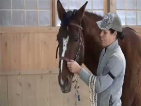 how to fit lg bridle