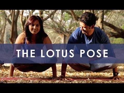 how to practice full lotus position