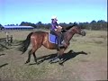 Alliras XCountry Lessons Continue..... Alliras XCountry Lessons Continue.....