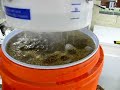 Fly Sparge Bucket