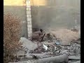 irak irak