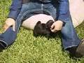 Gotta love the BLACK PUG!!!!!