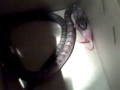 Corn Snake (Pluto) Eating