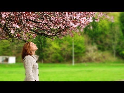 PHOTOSHOP FILTERS - Learn how to use smart filters to mask out areas of a photo that you don't want to be filtered. Combine this with other filters for your own unique effects. ...