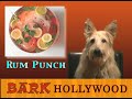 Bark Hollywood Episode 2