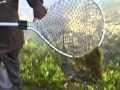 TJ's fishing pay lake in Mt.Orab,OH