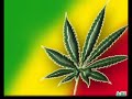 Ras Luta - Mala Cure Riddim