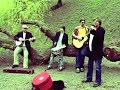 Trawnik prawie unplugged: Franek