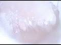 videos de Aromatic Neelam
