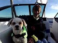 Dogs and Girls Hair in the Wind Flying.
