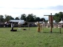 Fourth Competition - Quintain