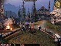 Shale Stomps Chicken (Dragon Age: Origins)