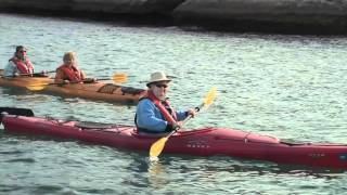 National Geographic Sea Bird