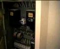 diil-sstuss-vool.html