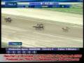 videos de RESUMEN DE CARRERAS DOMINGO-30-NOV-2008