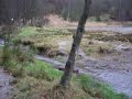 Grube Blücher