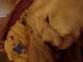 il parto di nicole  2