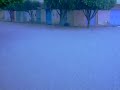 IMG 0271