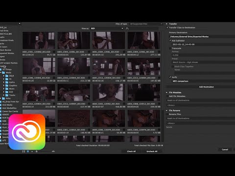 How to Ingest & Transcode Camera Footage in Adobe Prelude & Media Encoder | Adobe Creative Cloud