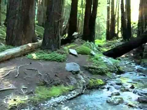 2011 to california LIMEKILN STATE PARK video part I, July 17