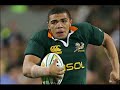 Go BOKKE - Forever GREEN & GOLD Go BOKKE - Forever GREEN & GOLD